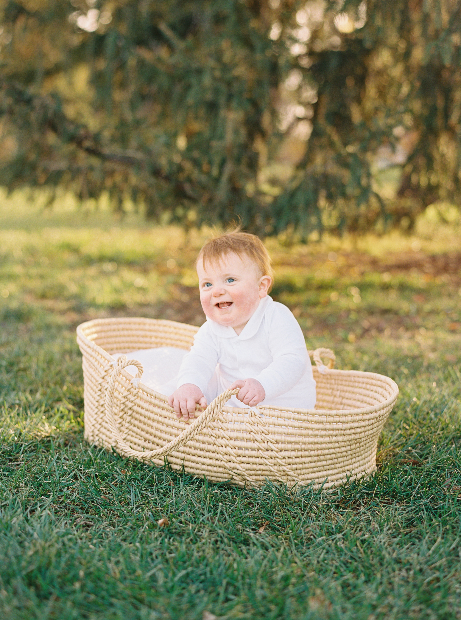 1 Year portraits cute December 1st birthday photos Kansas City Baby photography Alissa Bird Portraits