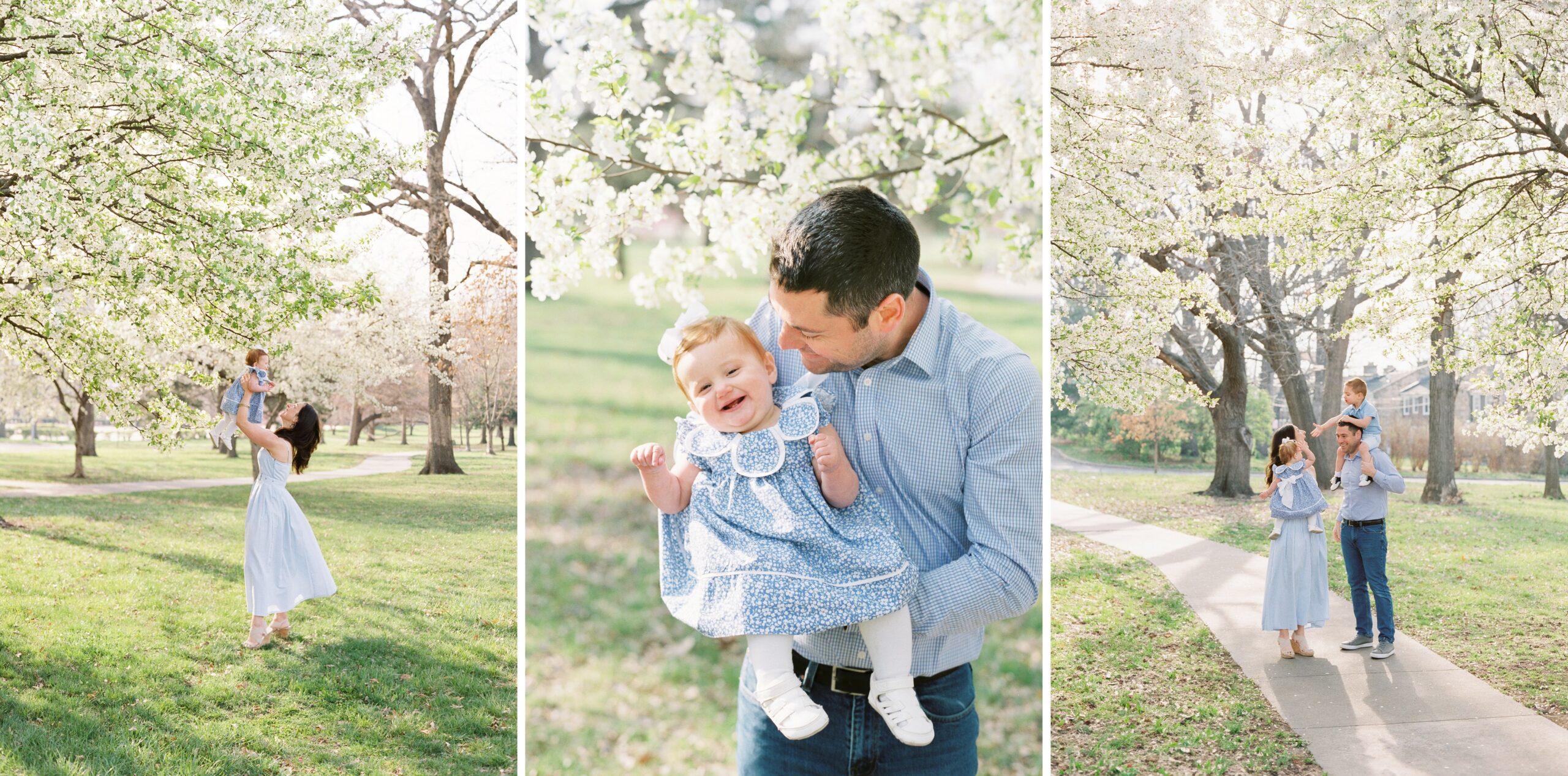 Spring family photos with white blooming trees in Kansas City in April Spring family photo location