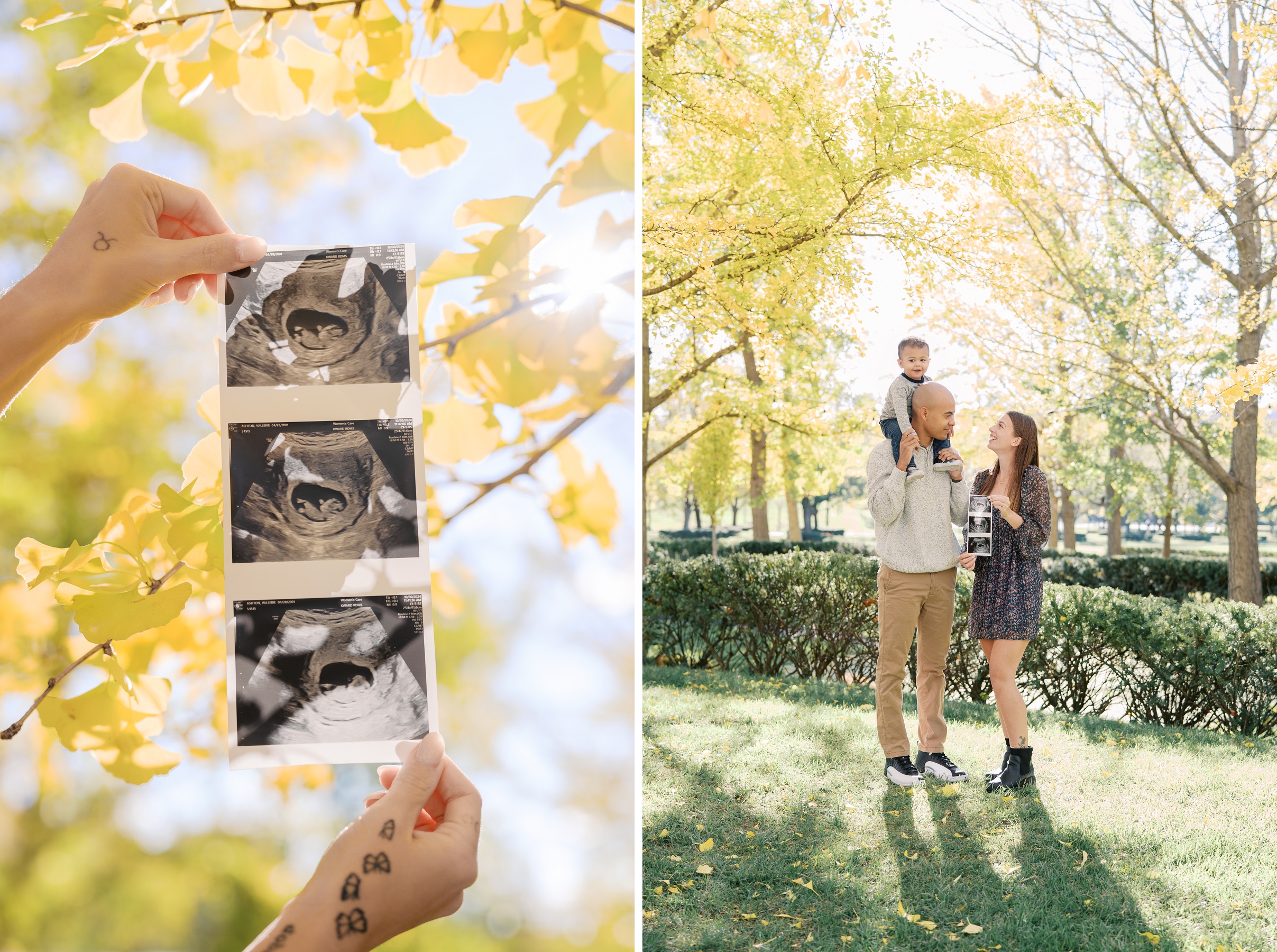 Baby Announcement sonogram with toddler brother Fall photos in Kansas City KC Family Photographer Alissa Bird Portraits